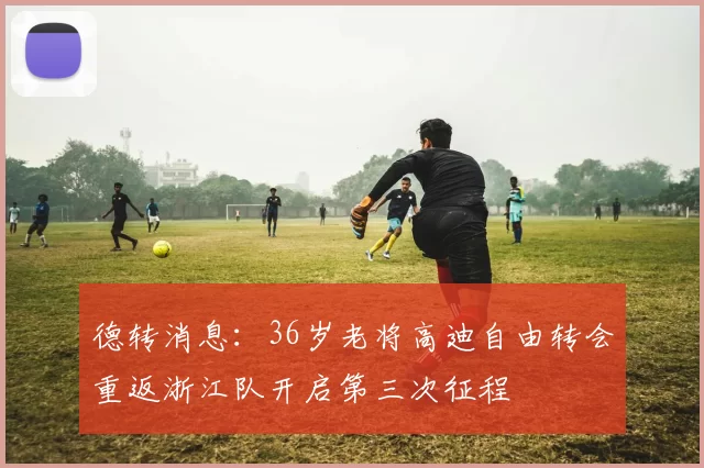 德转消息：36岁老将高迪自由转会重返浙江队开启第三次征程