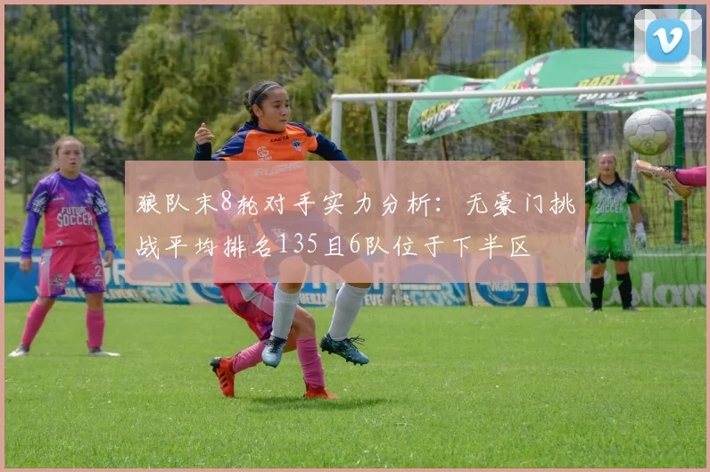 狼队末8轮对手实力分析：无豪门挑战平均排名135且6队位于下半区